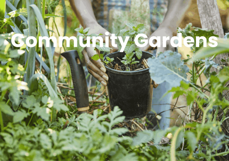 The image is a photograph of a garden with a pair of hands handling a potted plant. White text spells 'Community Gardens'.